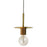 1lt Pendant, Agb Finish | RSW-61P-AGB