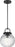 Preston 10" Pendant | SCDJPD129MBKRG