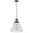 1lt Incandescent Pendant, Mw W/ Mb Accent | SNS-141P-MW-MB