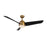 Thalia 54-in Brushed Gold/matte Black Led Ceiling Fan | CF91954-BG/MB