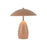 Poppy 9-in Peach Led Table Lamp | TL437409PEC