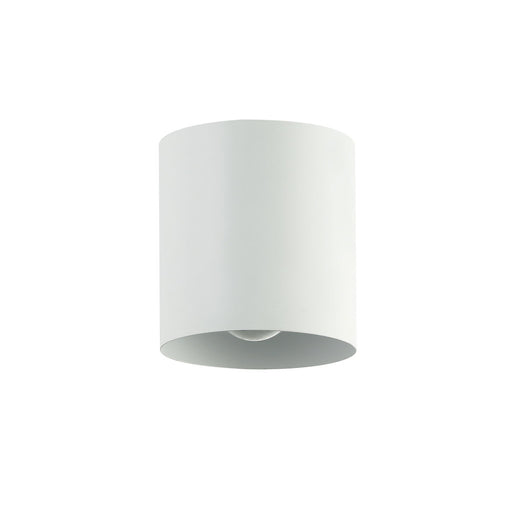 1lt Flush Mount, Mw | TRN-41FH-MW