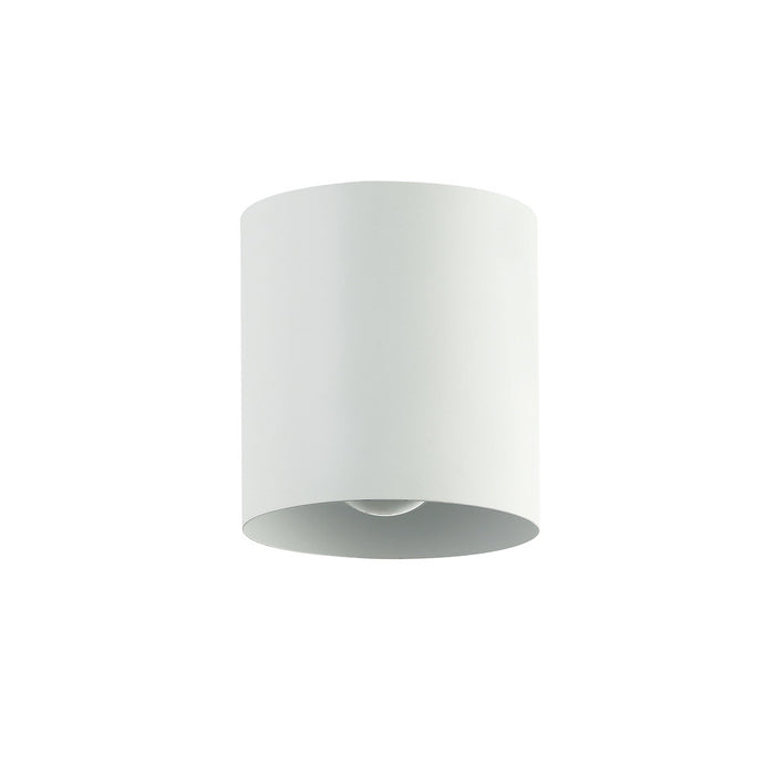 1lt Flush Mount, Mw | TRN-41FH-MW