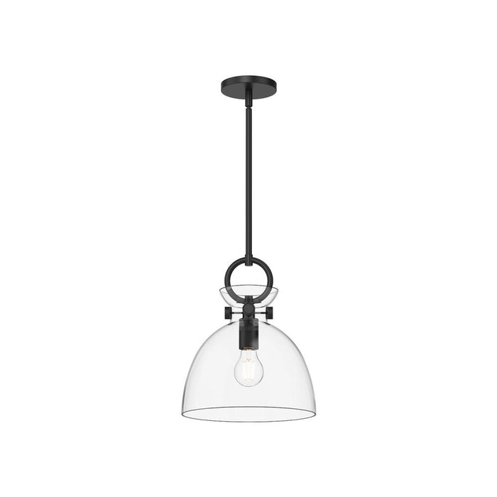 Waldo | PD411811MBCL