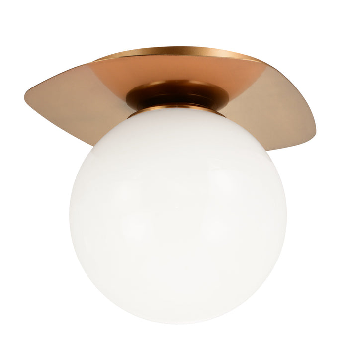 Razz Ceiling Mount | X15701AGOP