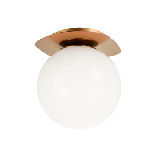 Razz Ceiling Mount | X15711AGOP