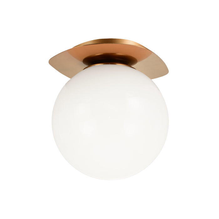 Razz Ceiling Mount | X15711AGOP