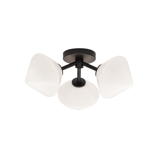 Novo Ceiling Mount | X81743BKOP