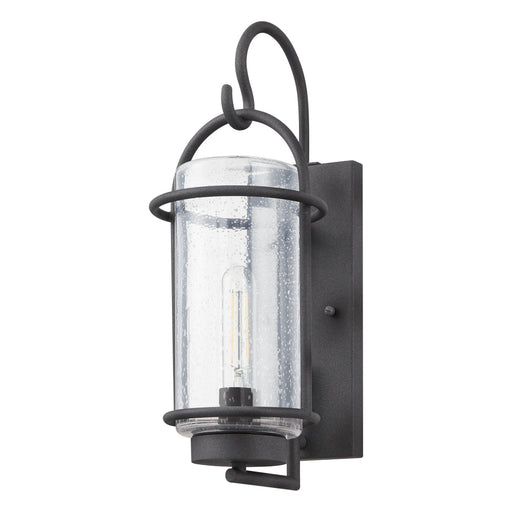 1 Light Exterior Wall Sconce / Murale Exterieure 1 Light | 207076A