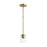 P500517-191 1-100w Med Mini- Pendant | P500517-191