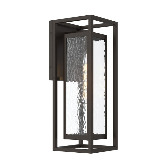 Shaw 19.5 Inch 1 Light Outdoor Wall Light With Clear Glass | P560411-020