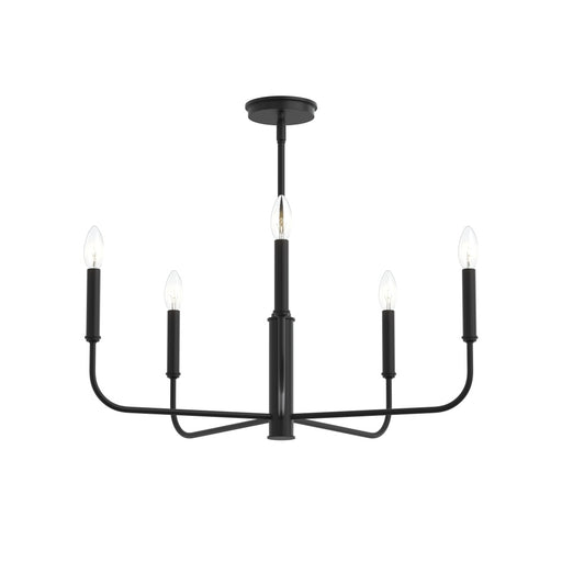 Reines Five-light Medium Chandelier | P400446-31M