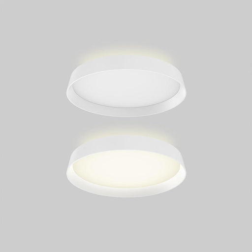 Dals Aurora 12 Inch Dual - Light Dimmable LED Flush Mount