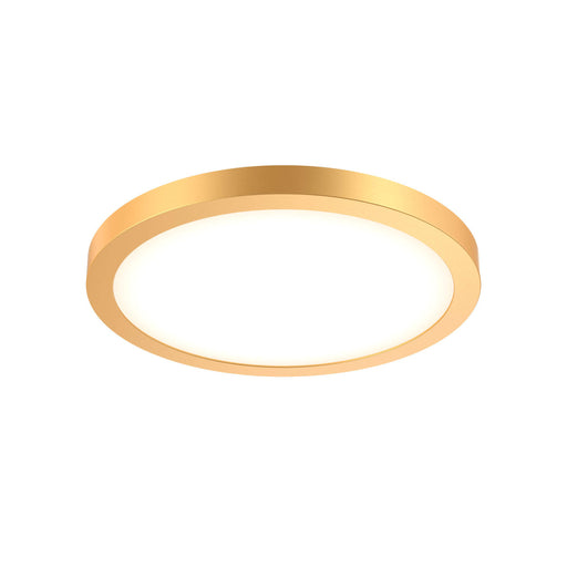 Round Led Flushmount | CFLEDR14-CC-GD