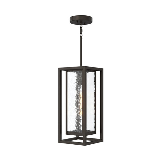 Shaw 17 Inch 1 Light Outdoor Pendant With Clear Glass | P550148-020