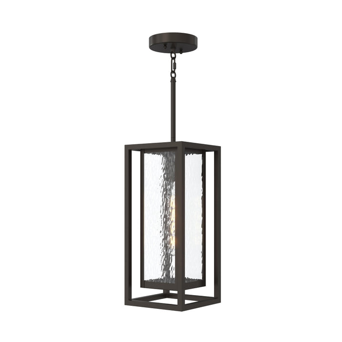Shaw 17 Inch 1 Light Outdoor Pendant With Clear Glass | P550148-020