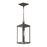 Cantley Outdoor Pendant With Clear Glass Panels | P550147-020