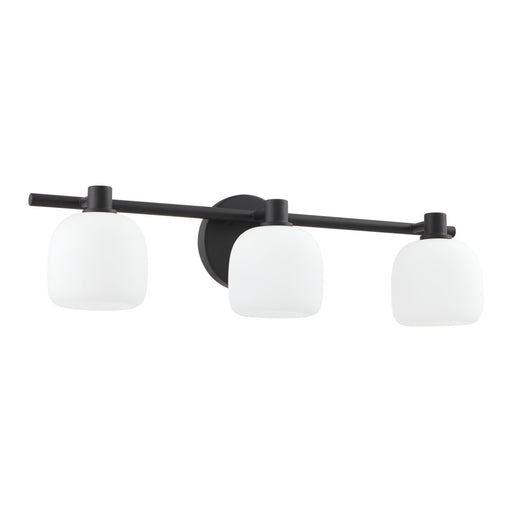 3 Light Vanity Light / Murale De Salle De Bain 3 Light | 207011A