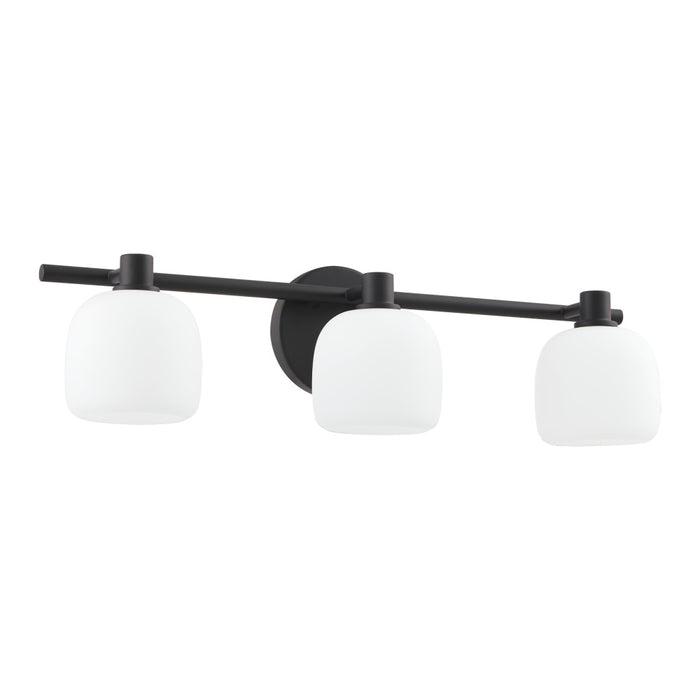 3 Light Vanity Light / Murale De Salle De Bain 3 Light | 207011A