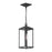 Cantley Outdoor Pendant With Clear Glass Panels | P550147-31M