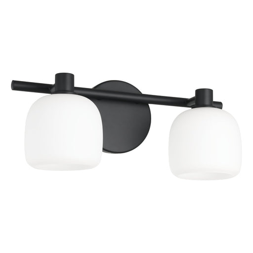 2 Light Vanity Light / Murale De Salle De Bain 2 Light | 207004A
