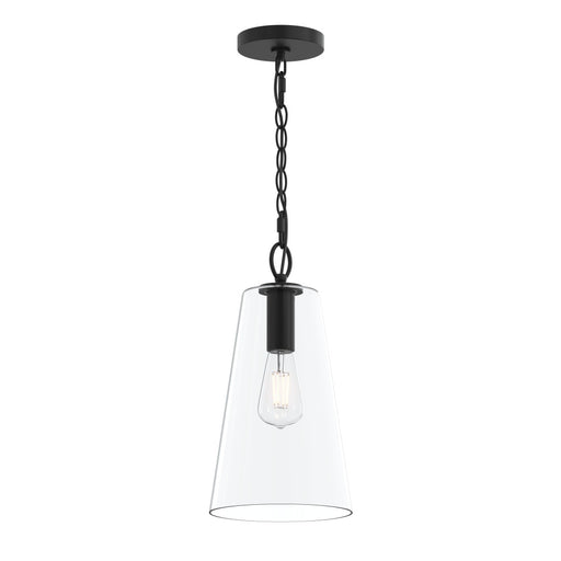 Jheni One-light Pendant With Clear Glass Shade | P500511-31M