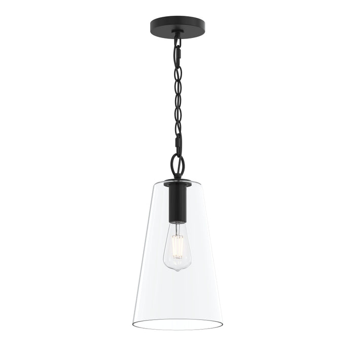 Jheni One-light Pendant With Clear Glass Shade | P500511-31M