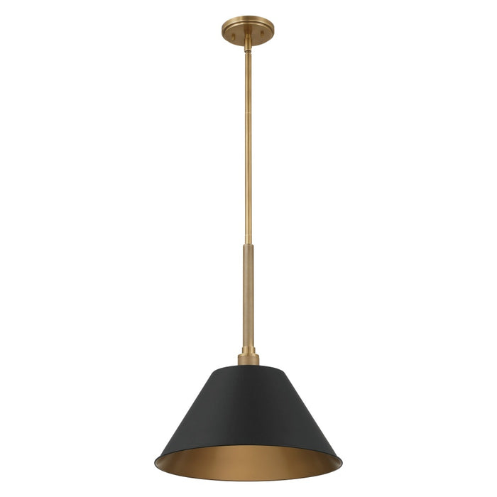 1 Light Pendant Light / Luminaire Suspendu 1 Light | 207335A