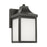Saybrook One Light Extra Small Lantern | GLO1001EN3/ANBZ