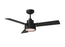 Jovie 44" Ceiling Fan | 3JVR44MBKD