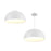 30in Fixture 2in1 Pendant And Flush Mount | NAPF30CCUNVWH
