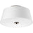 Progress Arden Collection Two-Light 14" Flush Mount