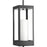 P550024-031 1-100w Med Hanging Lantern | P550024-031