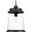 P550030-020 1-100w Med Hanging Lantern | P550030-020