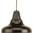 P5551-20 1-100w Med Hanging Lantern | P5551-20
