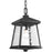 Mac Collection One-light Hanging Lantern | P5559-31
