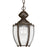 P5565-20 1-100w Med Hanging Lantern | P5565-20
