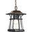 P5579-84 1-100w Med Hanging Lantern | P5579-84