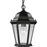 P5582-31 1-100w Med Ch Hung Lant | P5582-31