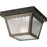Progress One-Light 7-1/2" Flush Mount for Indoor/Outdoor use