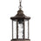 P6529-20 1-100w Med Hanging Lantern | P6529-20