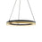 14 Inch Pendant Double Ring | PDR14CCBG
