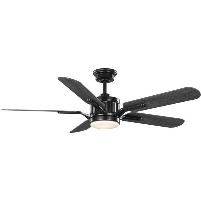 P250007-031-30 54in 5 Blade Fan W/lte | P250007-031-30