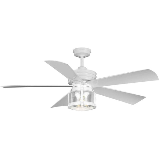 P250011-028-wb 56 In 5 Blade Fan | P250011-028-WB