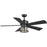 P250011-171-wb 56 In 5 Blade Fan | P250011-171-WB