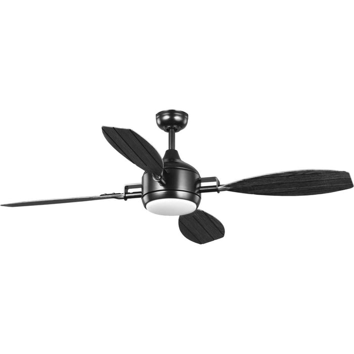 Rudder Collection Indoor/outdoor 56" Four-blade  Black Ceiling Fan | P250040-031-30