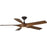 P250059-179-30 60in 5 Blade Ceiling Fan | P250059-179-30