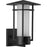 Progress Exton Collection One-Light Textured Black and Etched Seeded Glass Modern Style Large Outdoor Wall La