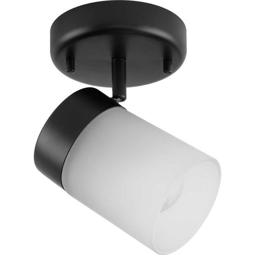 P900011-031 1 Head Track W/glass | P900011-031