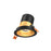 3in Modular Downlight, , 20 Degree Beam Angle, Gimbal Reflector, Gold, Black Trim | RC03-CC-20-GMBGD-TBK
